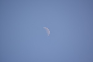 木嶋神社から見えた月